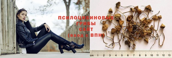 2c-b Бугульма