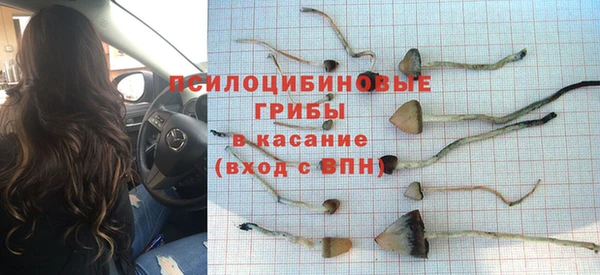 первитин Бородино